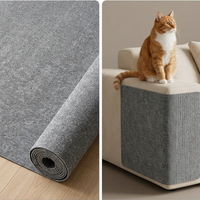 WallCat
